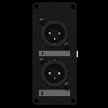 Casy 1 Space Coverplate 2 x XLR Male to 2 x 3-pin block